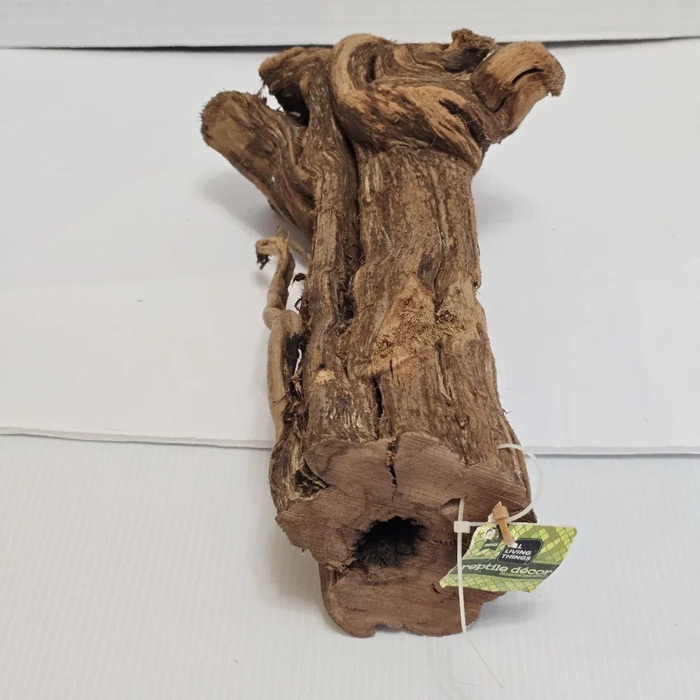 All Living Things Reptile Driftwood